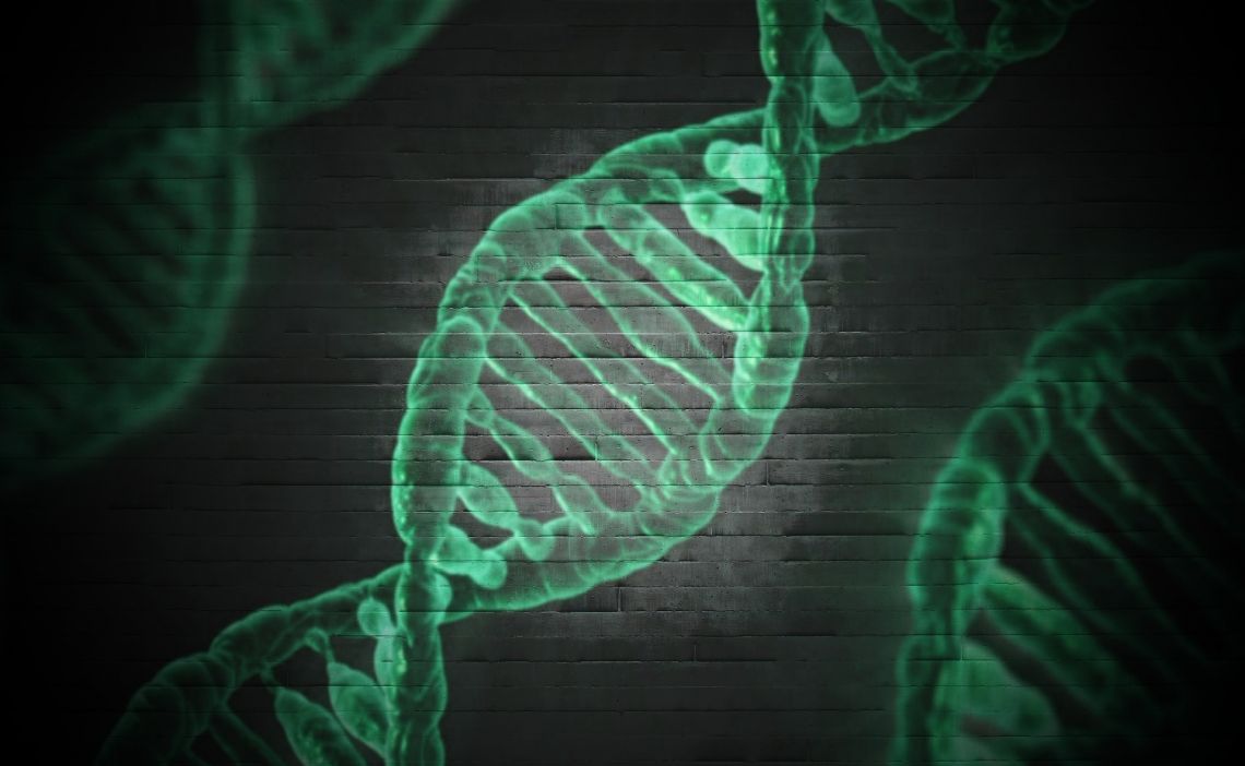 DNA Sequencing DNA Sequencing