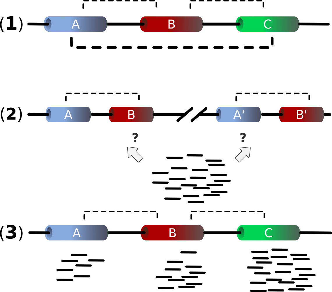 Figure 1: Problems occuring in Housekeeping Gene detection