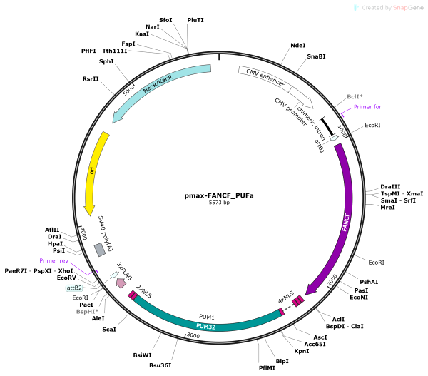 Vector Map of pmax-FANCF_PUFa