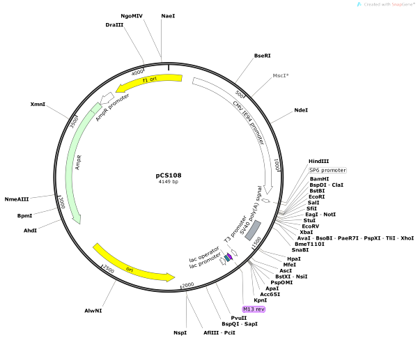 Vector Map of pCS108