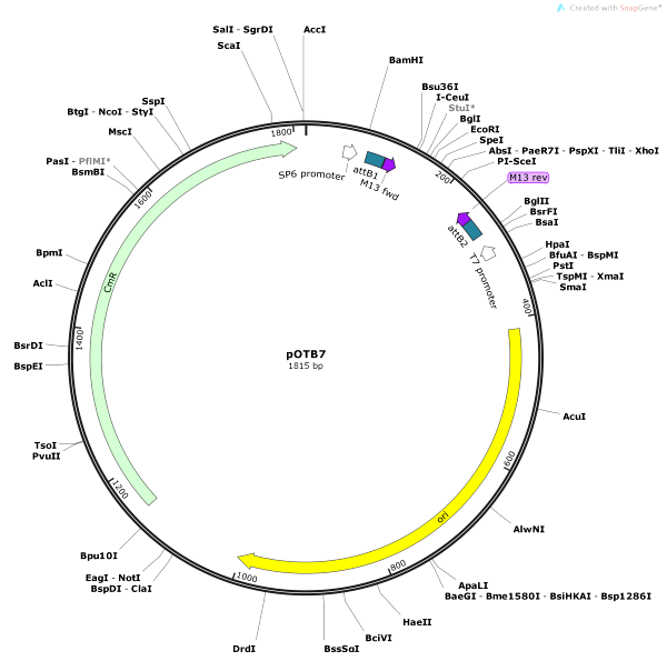 Vector Map of pOTB7